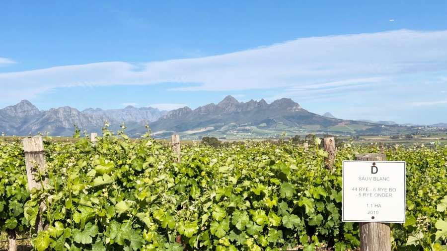 Commercial Property for Sale in Stellenbosch Farms Western Cape